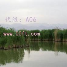 ļ