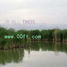 ļ