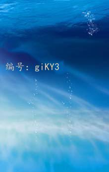 仯