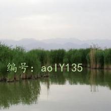 ļ